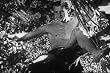 Guatemala Jungle Adventure Film Disc One: New Adventures of Tarzan (1935) [DVD]