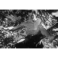 Guatemala Jungle Adventure Film Disc One: New Adventures of Tarzan (1935) [DVD]