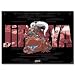 Naruto Jiraiya (52x38cm) Poster Plakat