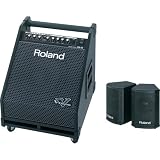 Roland PM-30 Drum Monitor