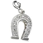 silver horseshoe charms