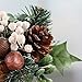 Factory Direct Craft Group of 6 Holiday Artificial Walnut and Pine Picks for Arranging, Crafting and Designing