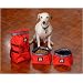 Dog Tucker Traveler- Red