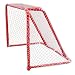 Sporting Goods : 54" Steel Goal with Hood & Back Bars