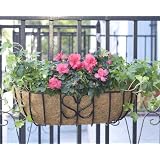 Shea's Heart English Trough Window Boxes