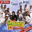 Como un Angel