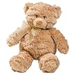 Summer Infant Mommies Melodies Gund Bear