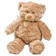 Summer Infant Mommies Melodies Gund Bear