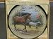 James Hautman Horse Thermometer