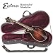 Eastman Mandolin: 515 Model F-style with F-holes and Sunburst Finish including Case.