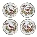 Exotic Birds Dinner Plates - Set Of Four