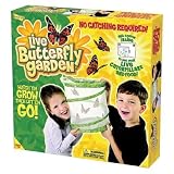 INSECT LORE BUTTERFLY GARDEN