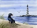 "Dachshund" Dog Art Print Signed by Artist DJ Rogers