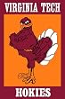 Virginia Tech Hokies Silk Reflections Flag - Garden Size