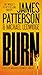 Burn (A Michael Bennett Thriller, 7)