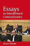 Essays on international criminal justice