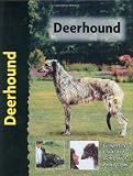Deerhound