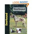 Deerhound