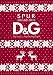D＆G　2010－11　FALL/WINTER　COLLECTION (SPUR BRAND BOX)