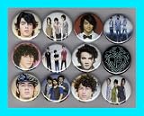 Jonas Brothers Nick Joe Kevin Set of 12 - 1 Inch Magnets