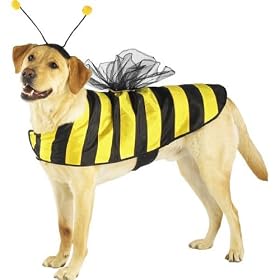 LARGE - BumbleBee Halloween Costume