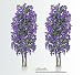 TWO 6.5' Wisteria Real Wood Trunks Artificial Trees each with approx. 105 flower clusters