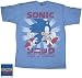 Sonic The Hedgehog Video Game KANJI CLASSIC Adult Blue Heather T-shirt Tee Shirt