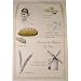 French Bread Making instructional and Pictorial on Printed Towel. Terroirs de France ...