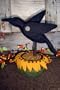 Bird Brain Designs Crow on Sunflower Needle Felting Kit