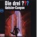 Folge 124/Geister-Canyon