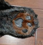 Grizzly Black Bear Throw Area Rug or Wall Hanging