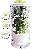Glass Herb Keeper - Anti-leakage fresh herb container - Free paleo recipe eBook - Herb storage holder keeps herbs fresh and green for up to 2 Weeks