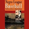 Negro League Baseball: The Rise and Ruin of a Black Institution