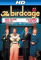 play video on Amazon Instant Video