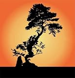 Bonsai - 48