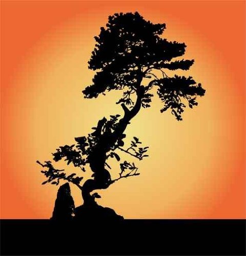 Bonsai - 48