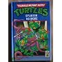 Teenage Mutant Hero Turtles: Follow My Leader