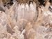 Frost Heave, Nantahala National Forest, North Carolina, USA Photographic Poster Print...