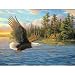 Search : Summer Domain Jigsaw Puzzle 500pc