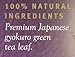 Yamamotoyama Gyokuro Pyramid Green Tea Bag, 10 ct. Box (Pack of 2)