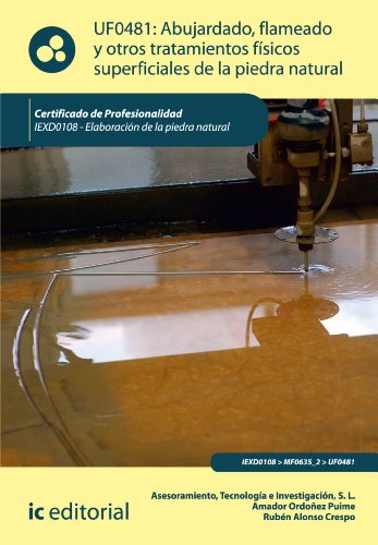 Abujardado, flameado y otros tratamientos físicos superficiales de la piedra natural. IEXD0108 (Spanish Edition)
