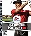 Tiger Woods PGA Tour 08(�A����)