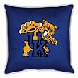Sports Coverage NCAA University of Kentucky Wildcats Sideline Pillow
