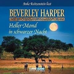 Heller Mond in schwarzer Nacht