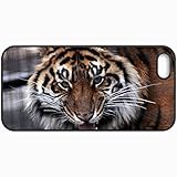 Fashion Unique Design Protective Cellphone Back Cover Case For iPhone 5 5S Case Tiger View Evil Tense Snout Mustache Black