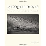 mesquite dunes a sinuous symphony written on a ancient dry lake