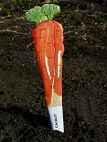 Wildlife World Veggie Stikk Seed Marker CARROT