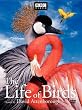 The Life of...