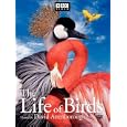 Buy The Life of Birds