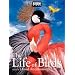 The Life of Birds